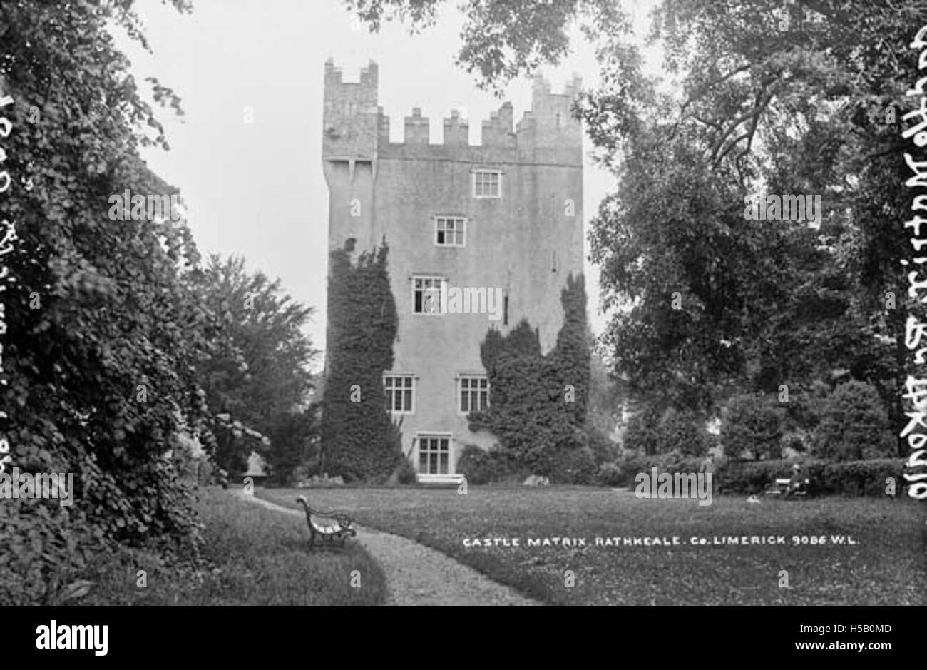 Una vista del Castello Matrix a Rathkeale, Contea di Limerick, Irlanda. La fotografia cattura l'architettura storica del castello e il paesaggio circostante, fornendo informazioni sul suo significato culturale e architettonico. Foto Stock