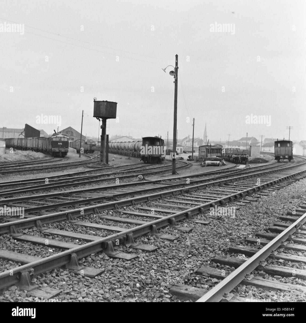 Questa fotografia mostra nove treni merci a Limerick City, nella contea di Limerick. L'immagine evidenzia l'importanza del trasporto ferroviario in Irlanda durante la metà del XX secolo per il trasporto merci e l'industria. Foto Stock