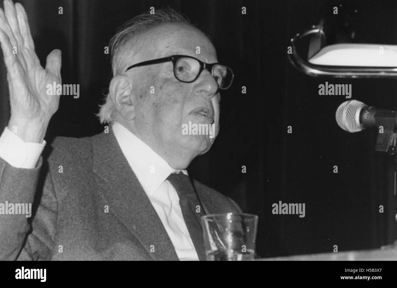 Ernst Gombrich, un influente storico dell'arte, è raffigurato in questa fotografia scattata intorno al 1990. Noto per il suo lavoro in teoria dell'arte e la storia delle arti visive, Gombrich ha dato contributi significativi allo studio dell'arte e della cultura, in particolare con il suo libro "la storia dell'arte". Foto Stock