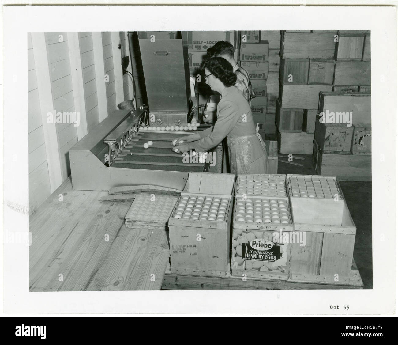 Forrest Co-operative si riferisce a una comunità o a un gruppo di imprese, potenzialmente incentrato sulla cooperazione locale e sul sostegno reciproco. Per fornire una descrizione specifica è necessario un contesto più ampio. Foto Stock