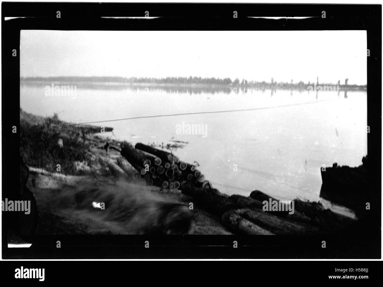 Una barca derrick viene utilizzata per caricare i tronchi su una nave. Questa operazione si verifica in genere in aree in cui la raccolta e il trasporto del legname sono importanti, a dimostrazione del ruolo svolto dall’industria marittima nella logistica del legname. Foto Stock