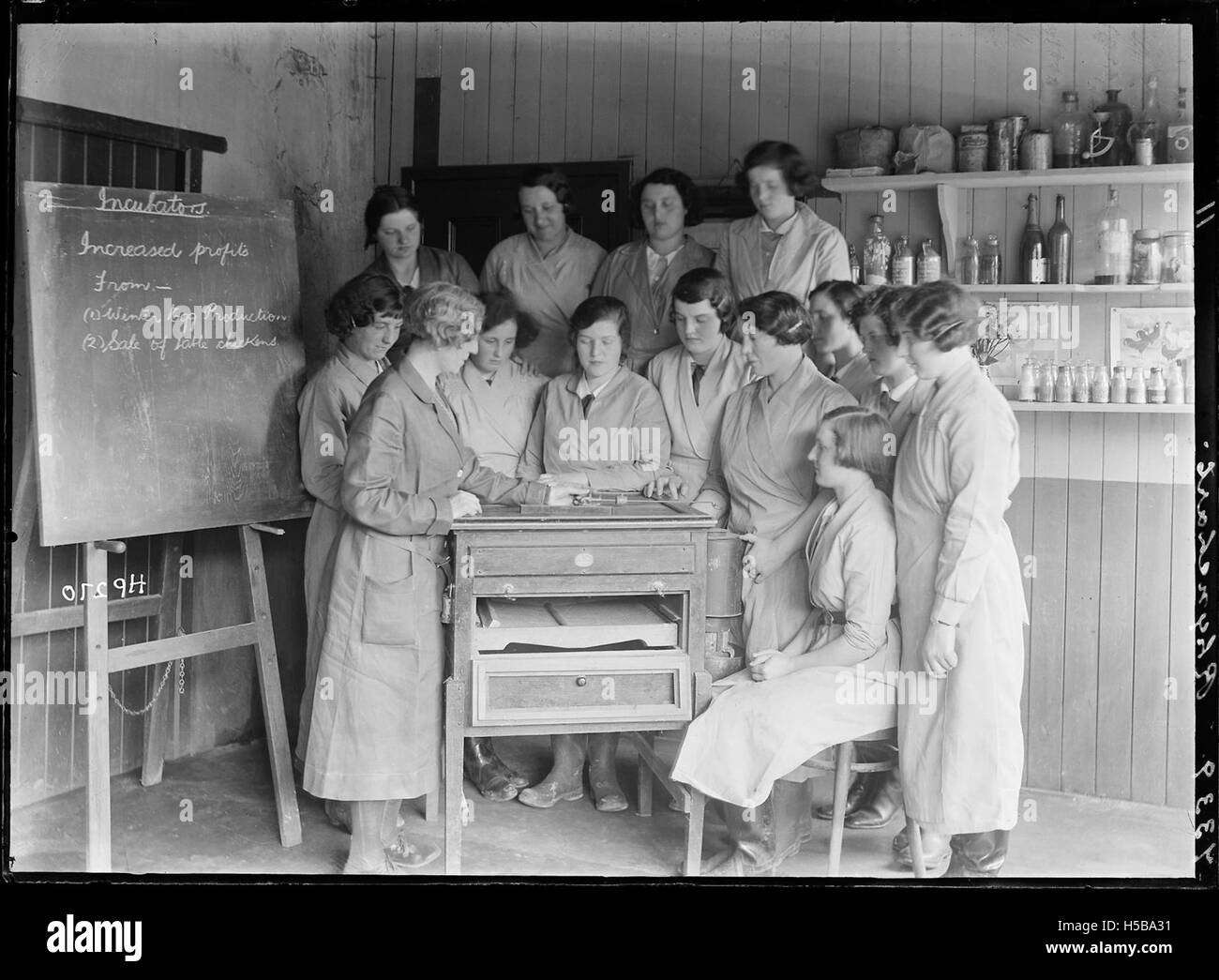 Questa immagine raffigura il processo di incubazione delle uova, probabile per scopi di ricerca o agricoli, evidenziando la cura e l'attenzione necessarie per garantire uno sviluppo sano. Foto Stock