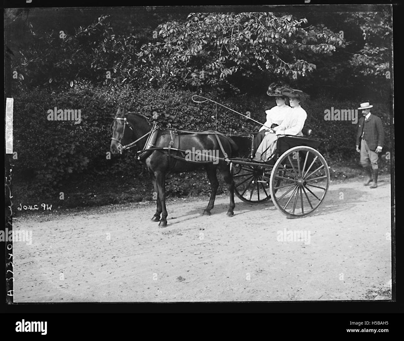 Una fotografia o un riferimento a una persona di nome Martin, probabilmente un individuo di importanza storica o personale, senza fornire ulteriori contesti. Foto Stock