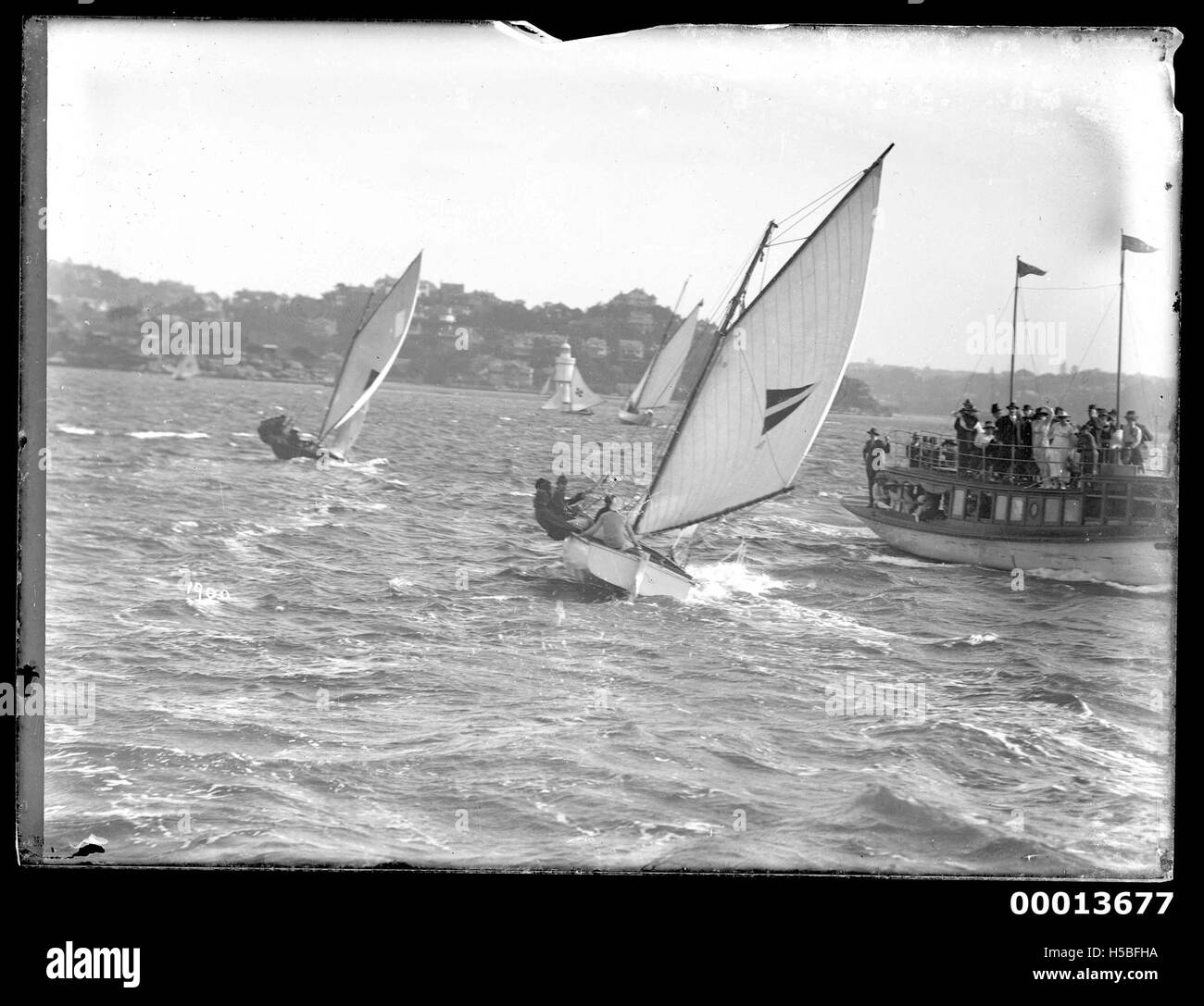L'immagine mostra due yacht da corsa di 16 piedi che gareggiano sul porto di Sydney, con una barca per gli spettatori in primo piano. Cattura l'emozione degli eventi in barca a vela in uno dei porti più rappresentativi dell'Australia. Foto Stock