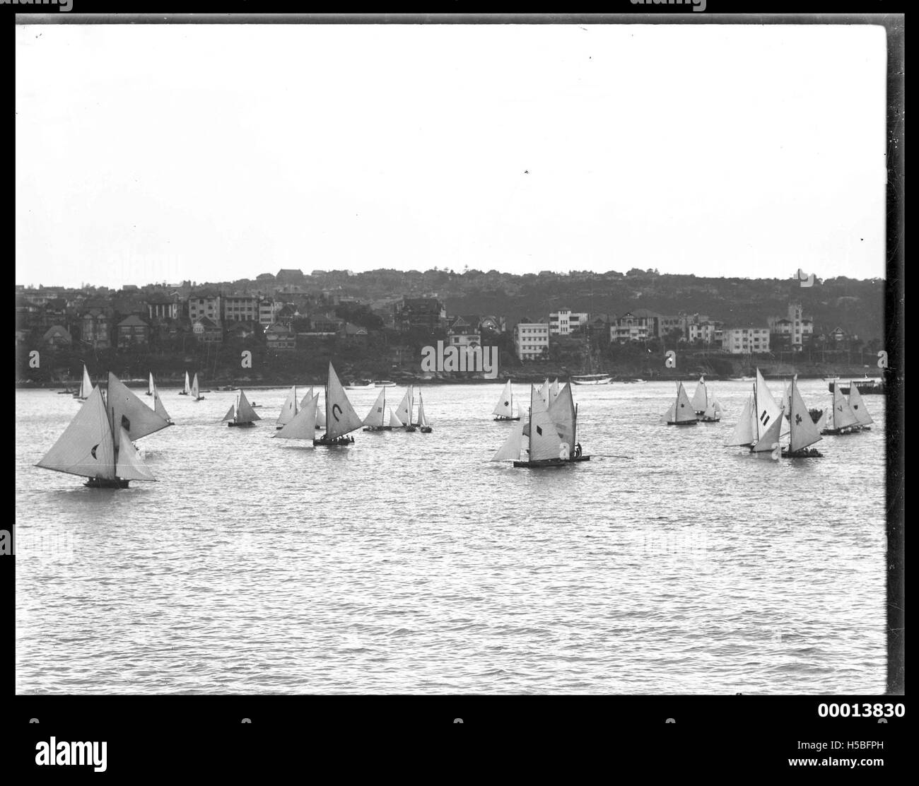 Questa immagine mostra le barche da 18 piedi che si tengono vicino a Cremorne Point nel porto di Sydney, una località popolare per gli eventi velici. La foto cattura l'atmosfera competitiva della vela. Foto Stock