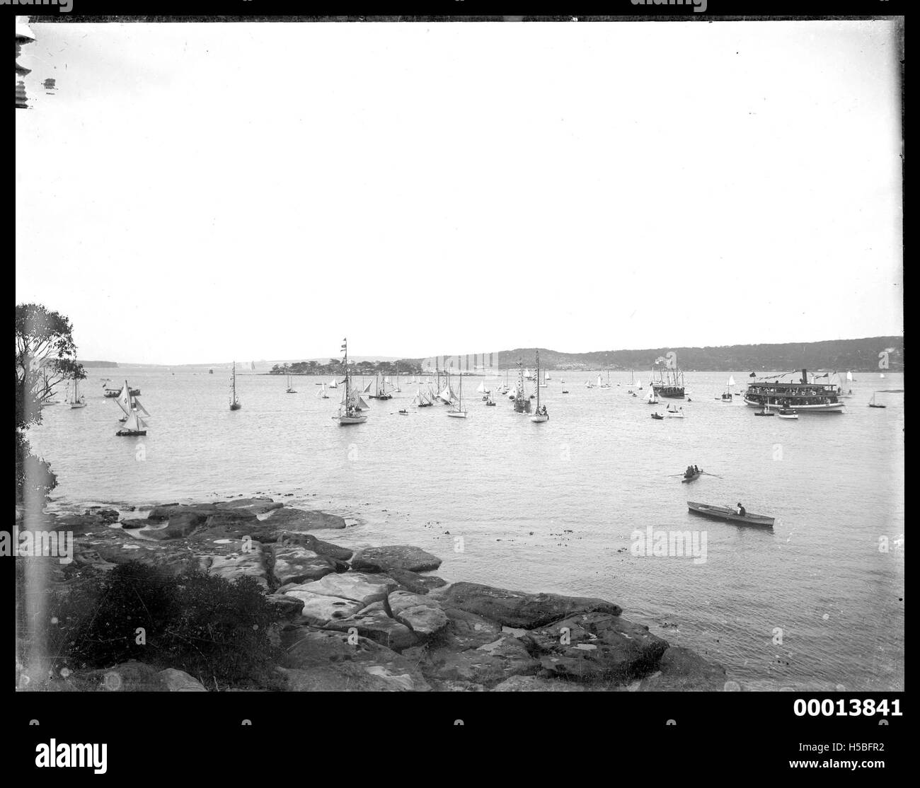 La regata sul porto di Sydney mostra le barche che partecipano a una gara di vela. L'immagine riflette la vibrante cultura marittima della città e il suo ruolo nell'ospitare eventi significativi basati sull'acqua. Foto Stock