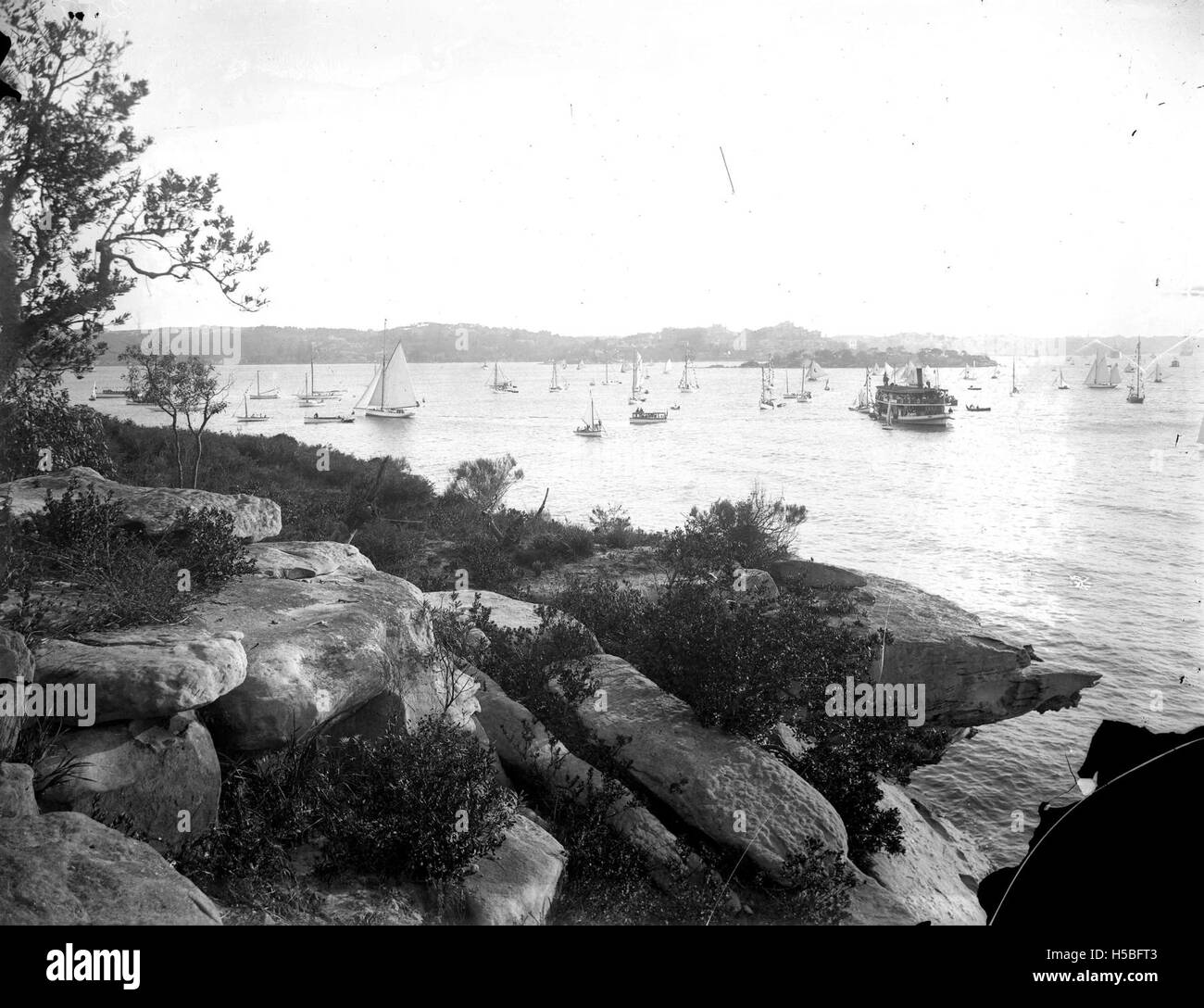 Questa immagine cattura un evento di regata che si svolge nel porto di Sydney, con Steel Point visibile sullo sfondo. Mostra la cultura competitiva della vela nell'iconico porto di Sydney. Foto Stock