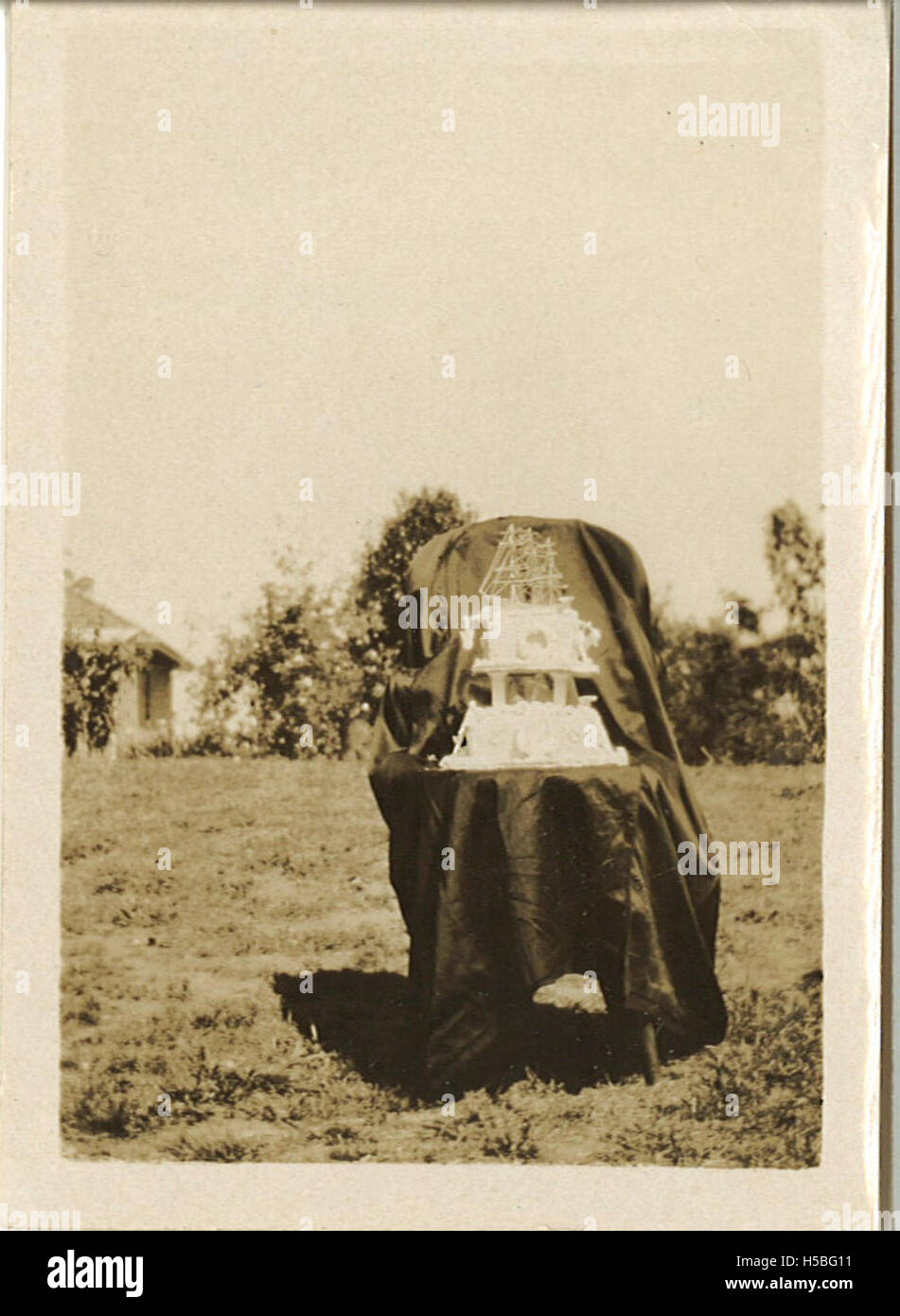 La torta nuziale di Basil e Peggy Helm è stata una creazione unica, che riflette il loro stile e il festival nazionale dell'edificio di cui facevano parte. Foto Stock