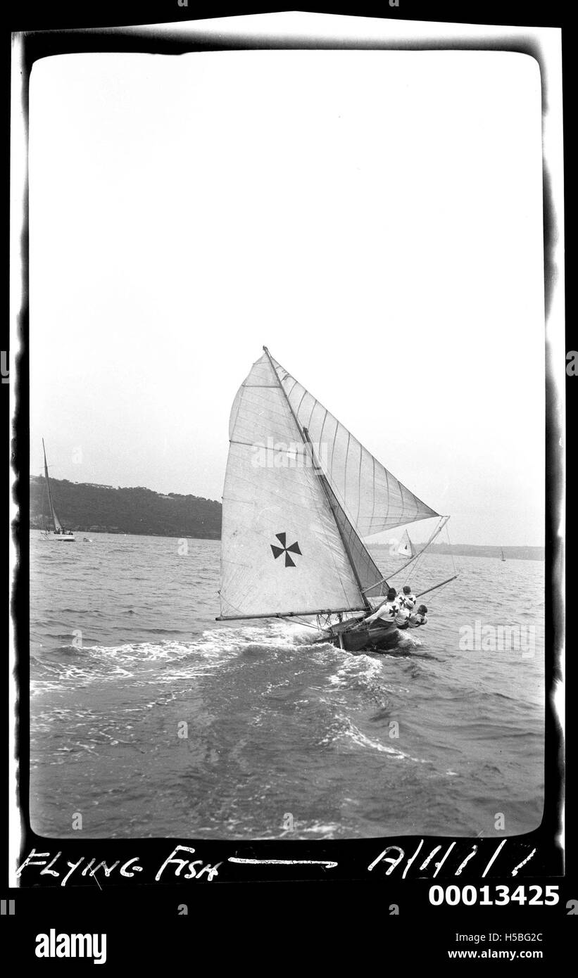 Un'immagine del Flying Fish di 18 piedi, una barca che corre nel porto di Sydney, catturando un momento di velocità e attività marittima. Foto Stock