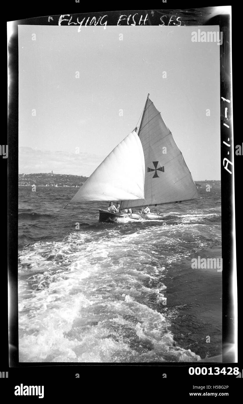 Il Flying Fish di 18 piedi è una barca a vela competitiva che naviga nelle acque del porto di Sydney. Questa popolare classe di barche a vela è utilizzata in gare competitive in Australia, nota per la loro velocità e agilità in acqua. Foto Stock