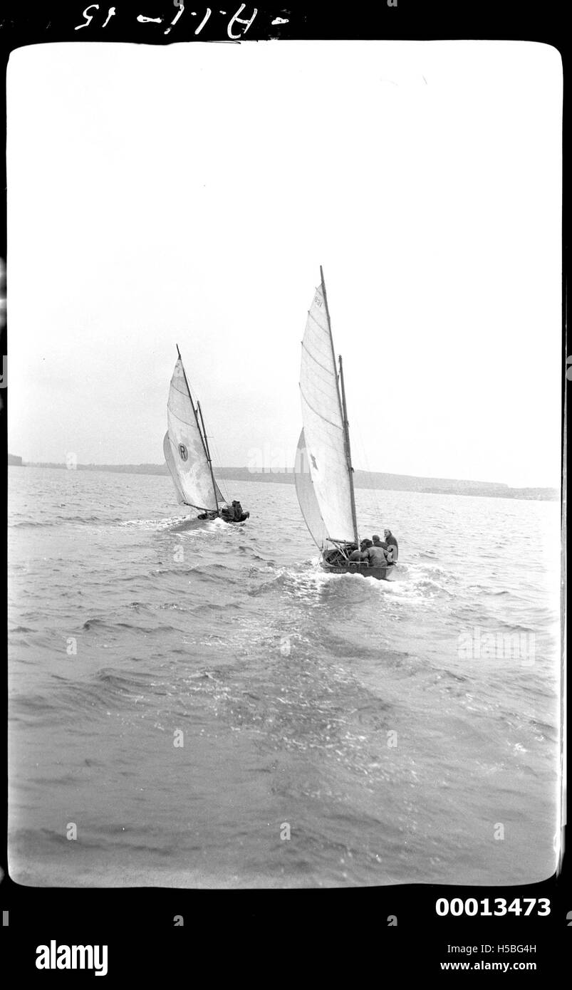 I 18 piè di pagina 'Ruby A' e 'Culex' sono imbarcazioni a vela viste nel porto di Sydney. Queste barche fanno parte di una classe di vela nota per la loro natura competitiva e le prestazioni veloci nelle gare marittime. Foto Stock