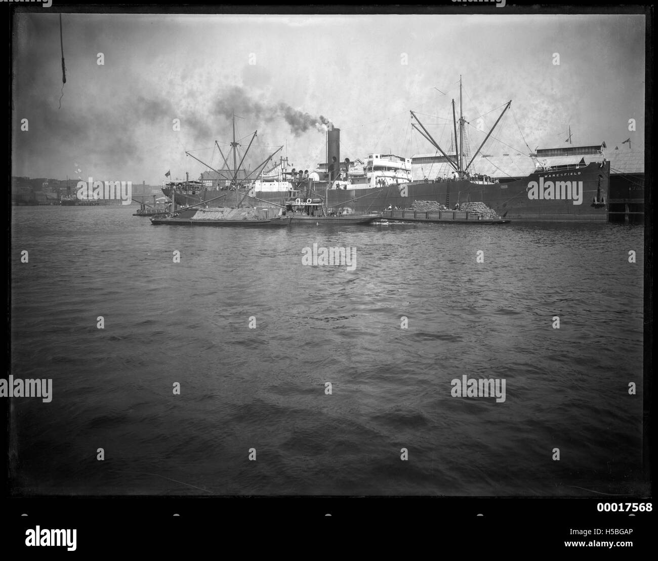 Sacchi di frumento caricati sulla nave MARESFIELD, probabilmente come parte di un’operazione di trasporto marittimo per l’esportazione di cereali, che dimostra l’importanza del trasporto marittimo nel commercio mondiale. Foto Stock