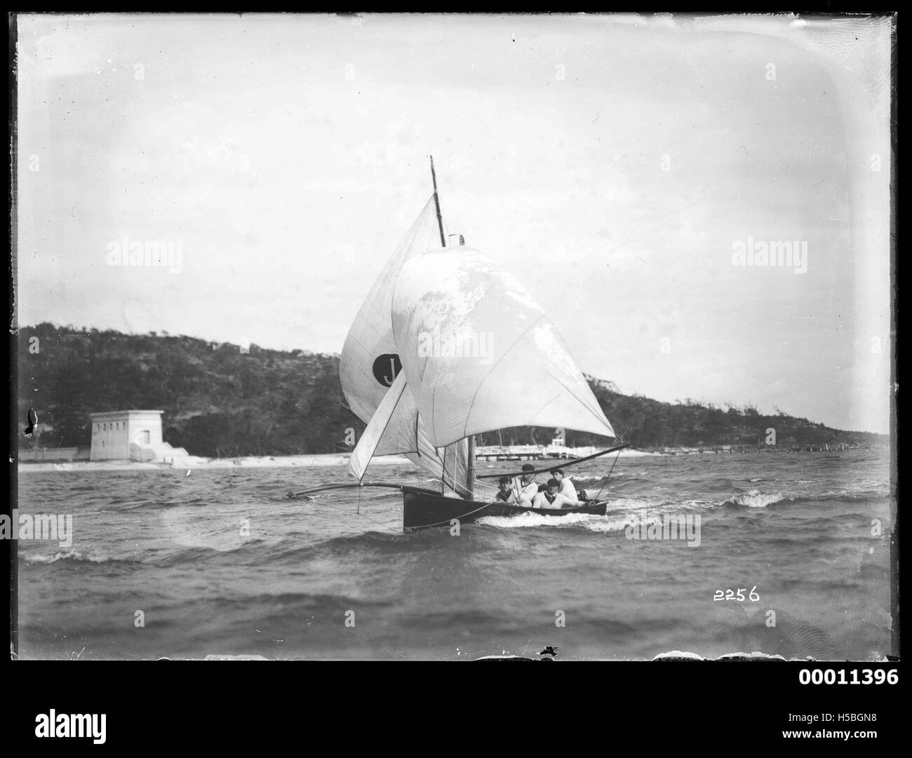 Un giro in barca naviga sul porto di Sydney, una delle località più iconiche dell'Australia. La scena riflette sia la cultura marittima della regione che il vivace stile di vita all'aperto, spesso visto durante i festival e gli eventi nazionali sul porto. Foto Stock