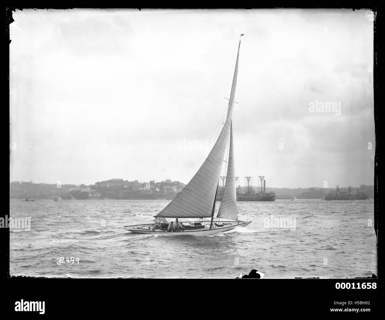 Una nave di classe J, nota per il suo design e la sua storia competitiva, naviga nel porto di Sydney. Queste barche sono rinomate per le loro linee eleganti e il coinvolgimento in prestigiosi eventi velici. Foto Stock