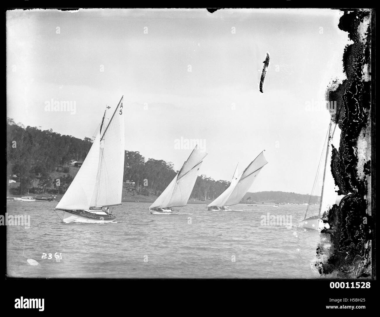 Questa immagine mostra probabilmente le corse di scivoli alla Pittwater Regatta, un evento velico annuale nel nuovo Galles del Sud, in Australia. La regata è nota per aver attratto varie imbarcazioni a vela, tra cui scivoli, in un ambiente competitivo. Foto Stock