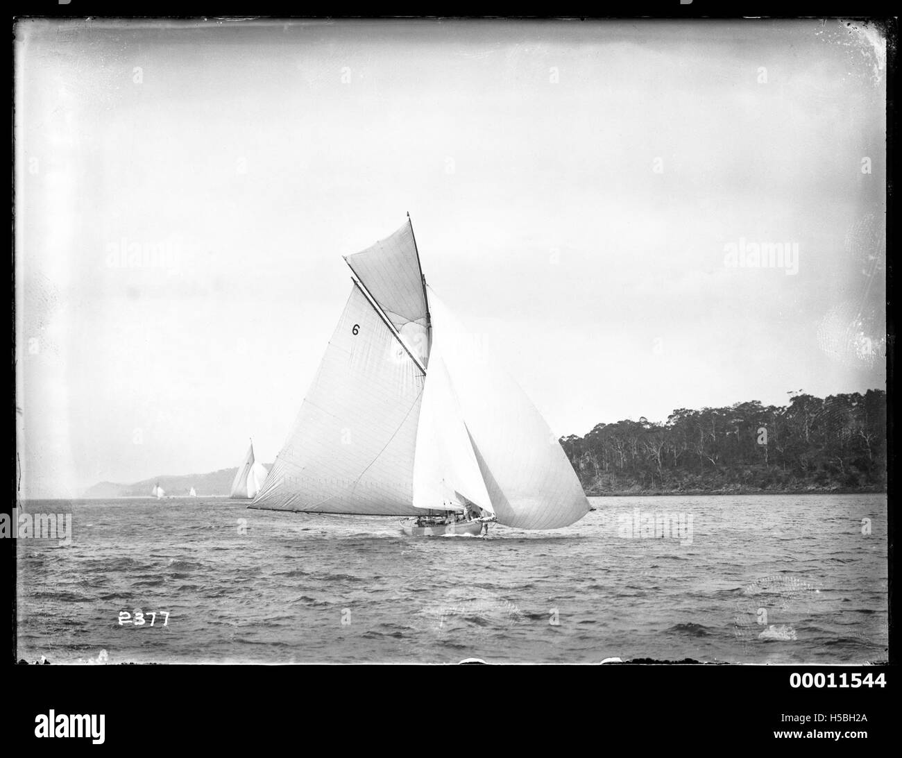 Una scena della Pittwater Regatta, che forse mostra una barca chiamata "RAWHITI". La regata è un evento molto noto nella zona di Sydney, con gare di vela e attività marittime. Foto Stock