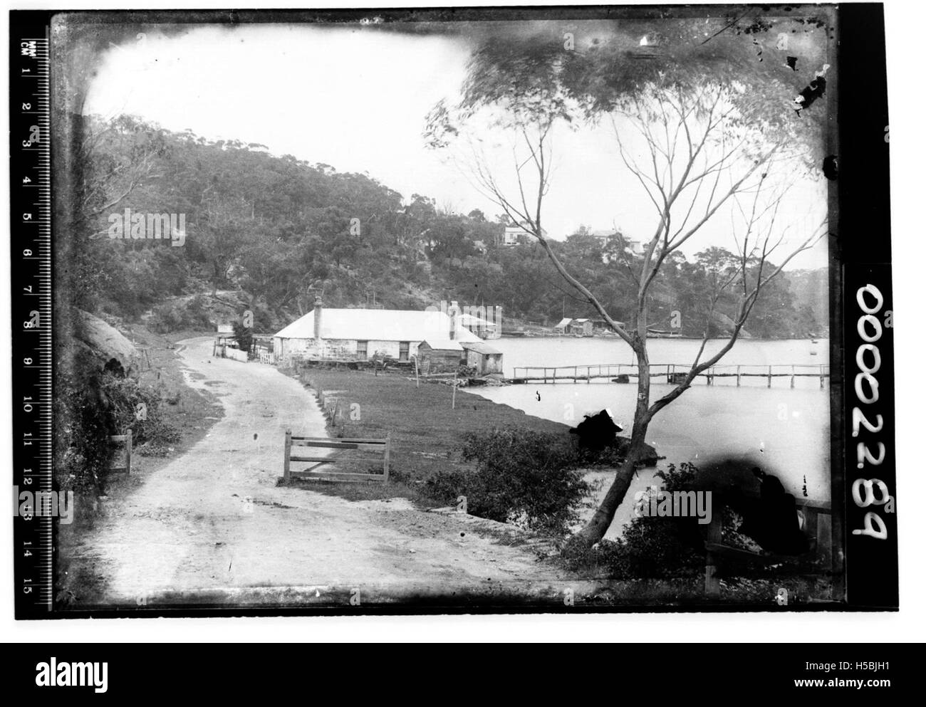 Una vista della Mosman Bay nel porto di Sydney, che mostra l'area sul lungomare con le barche, il paesaggio circostante e l'iconico skyline di Sydney. L'immagine mette in risalto sia la bellezza naturale che lo sviluppo urbano. Foto Stock