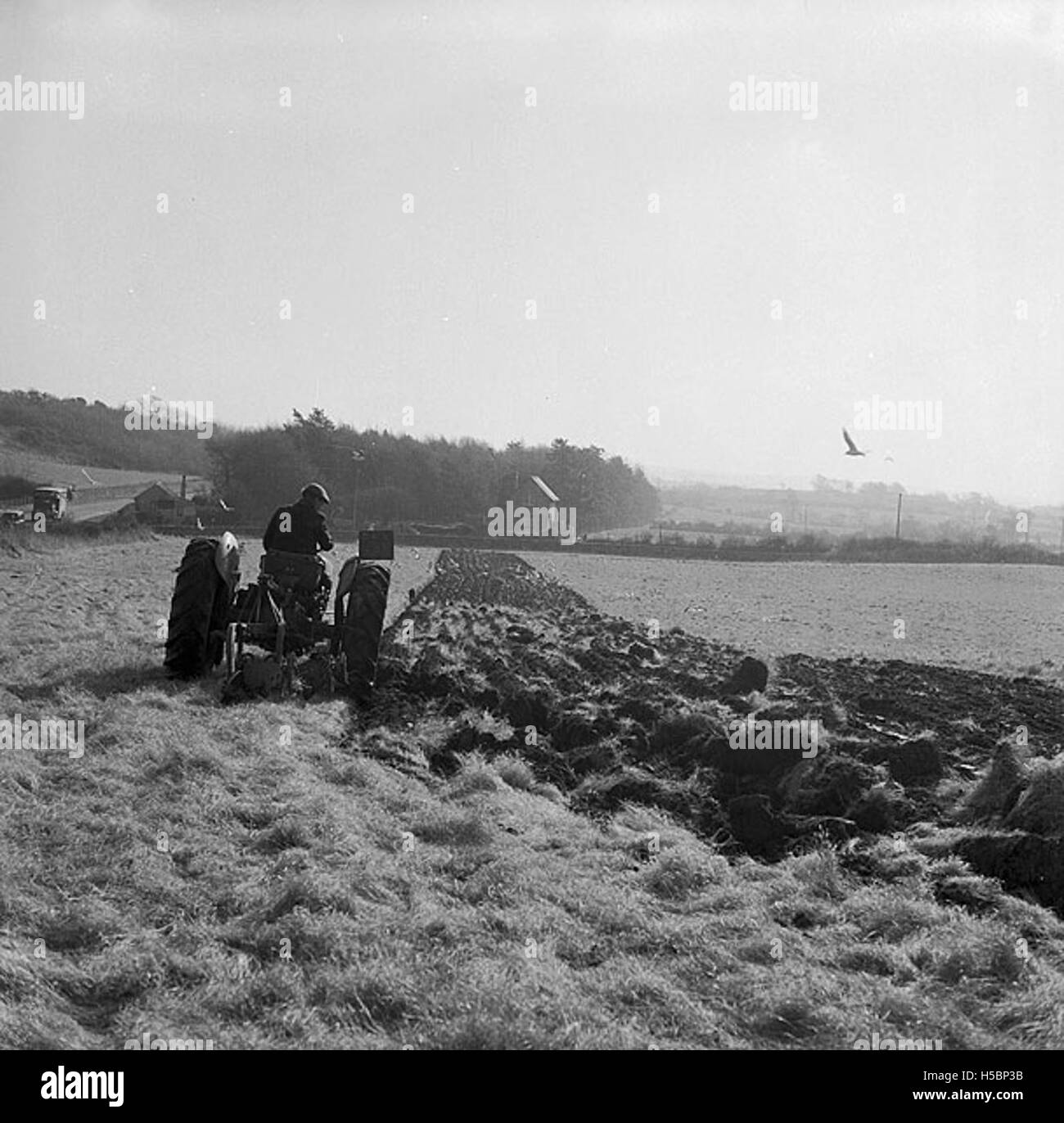 Questo titolo gallese si traduce in "lavorare a febbraio ad Anglesey". Si riferisce probabilmente alla manodopera agricola o rurale che ha luogo ad Anglesey, Galles, durante il mese di febbraio, riflettendo le pratiche lavorative stagionali. Foto Stock