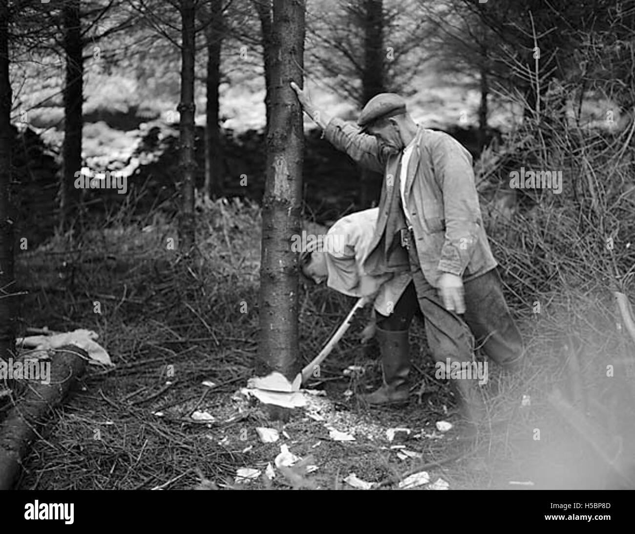 Membri del Consiglio rurale di Dolgellau che visitano il sito della Commissione forestale a Coed y Brenin, una grande foresta del Galles. La visita probabilmente ha comportato discussioni sulla gestione forestale, la conservazione e lo sviluppo rurale. Foto Stock
