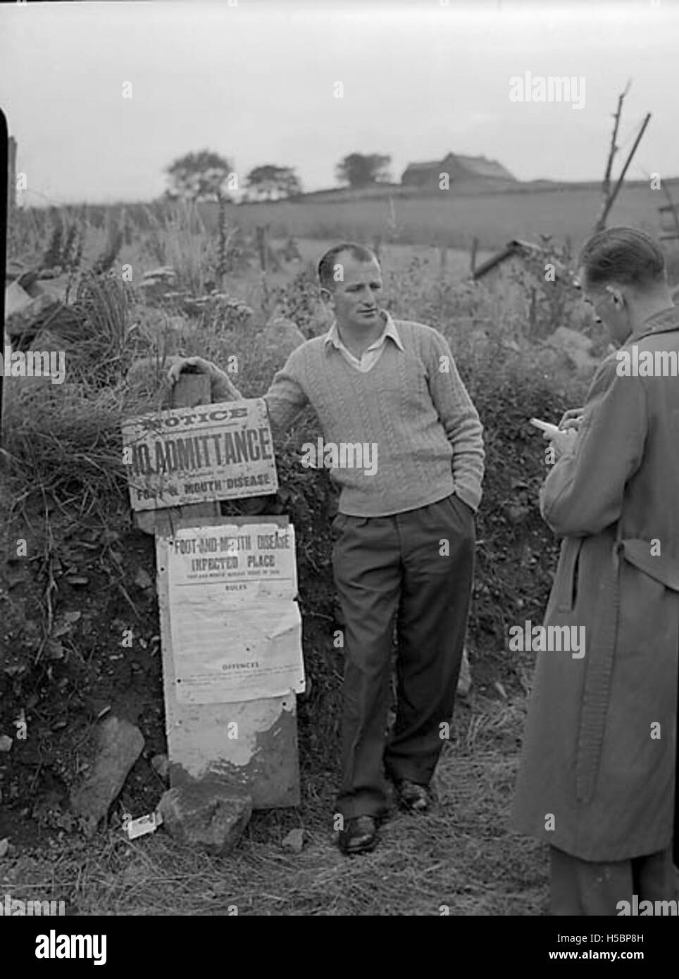 Questa immagine documenta la risposta a un focolaio di afta epizootica a Llainwen, Trawsfynydd. La malattia è stata isolata efficacemente a causa del rapido intervento delle autorità locali, impedendone la diffusione. Foto Stock