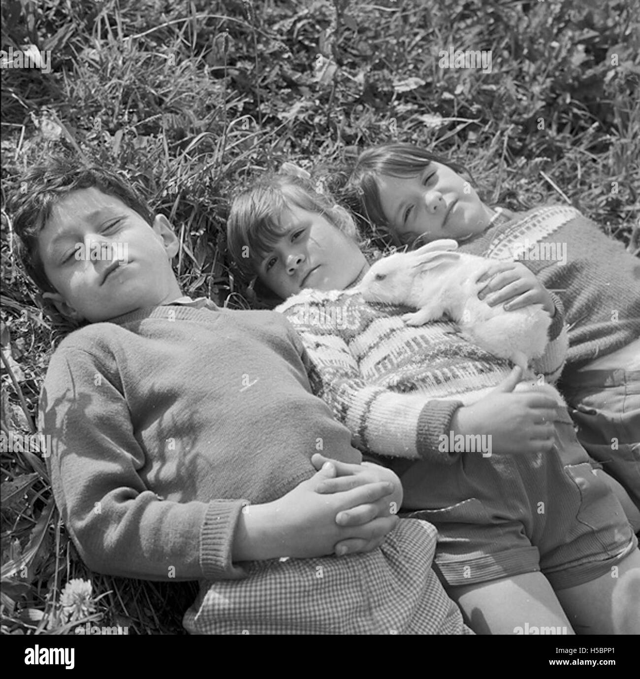 I bambini di Llangefni si godono il sole con il loro coniglio, catturando un momento di gioco infantile e di connessione con gli animali in un ambiente naturale. Foto Stock