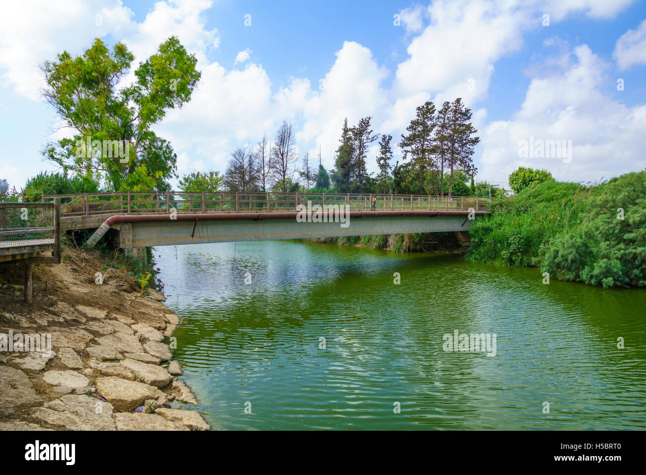 Nahal Alexander (Alexander stream) riserva naturale e la Tartaruga Bridge. Israele Foto Stock