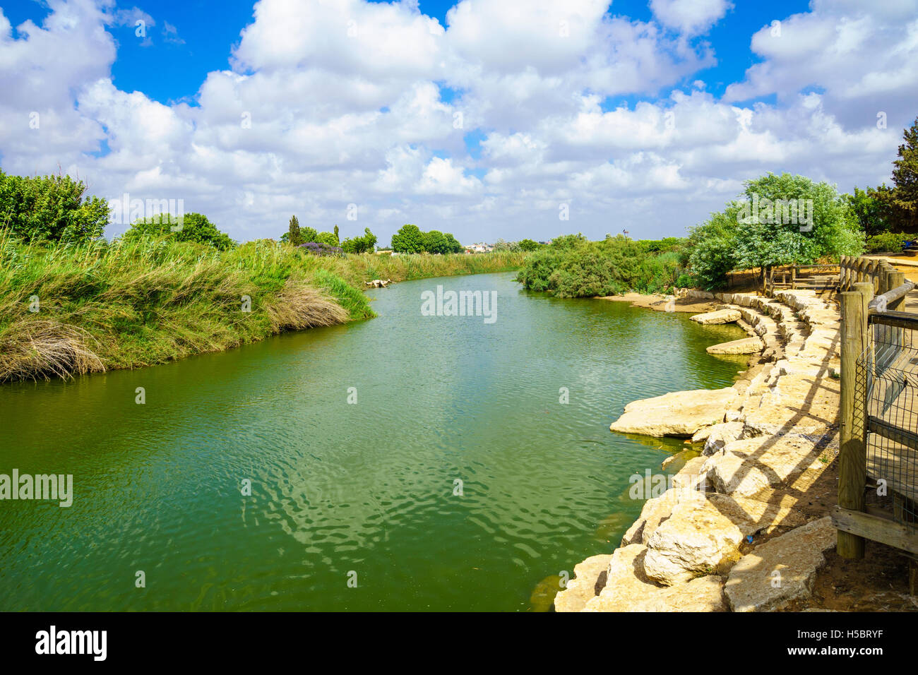 Vista di Nahal Alexander (Alexander stream) riserva naturale. Israele Foto Stock