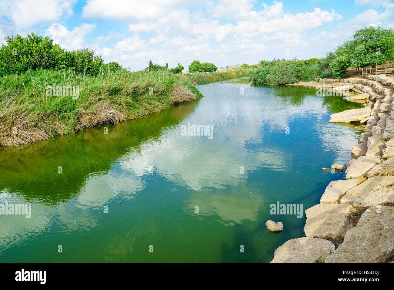 Vista di Nahal Alexander (Alexander stream) riserva naturale. Israele Foto Stock