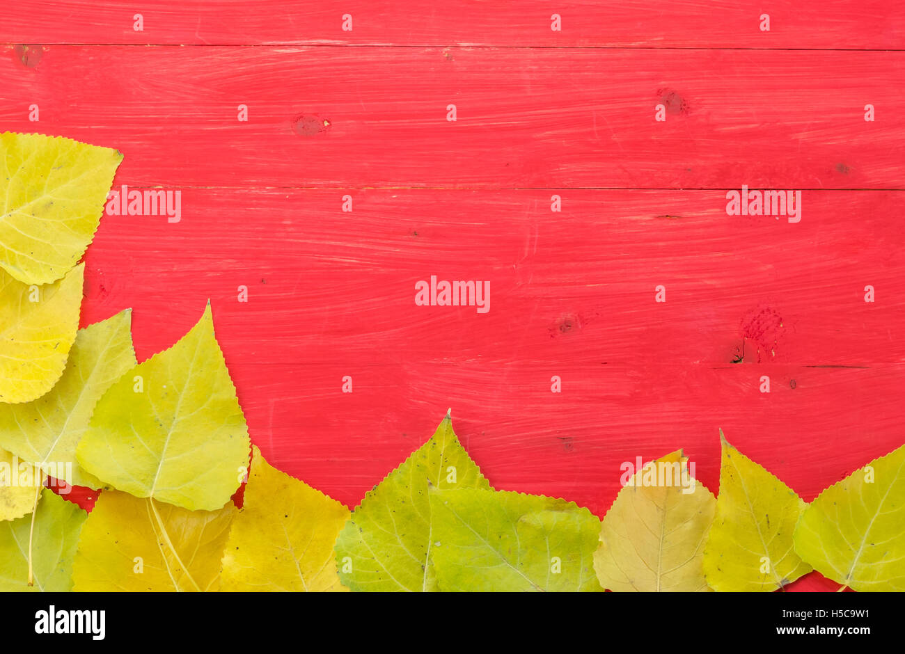 Cornice colorata di foglie di autunno in giallo e verde su un rosso tavolo in legno Foto Stock