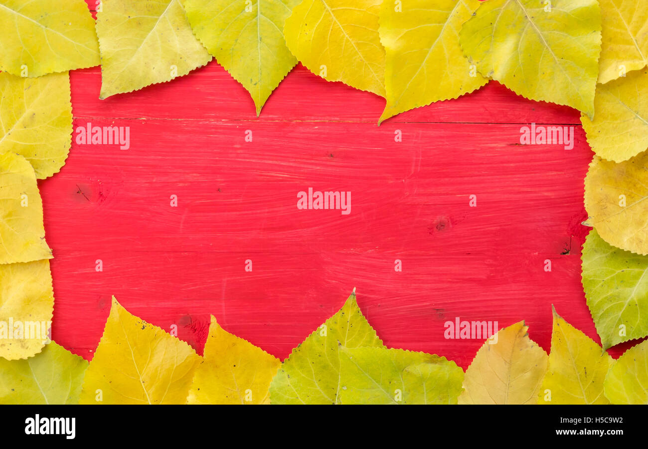 Cornice colorata di foglie di autunno in giallo e verde su un rosso tavolo in legno Foto Stock