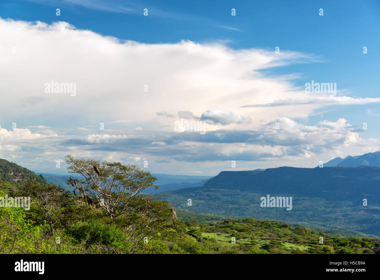 Verde paesaggio rurale vicino a Barichara, Colombia Foto Stock