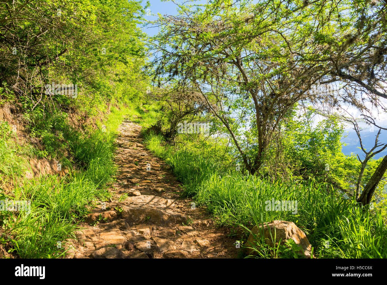 Il sentiero che corre tra Barichara e Guane in Colombia Foto Stock