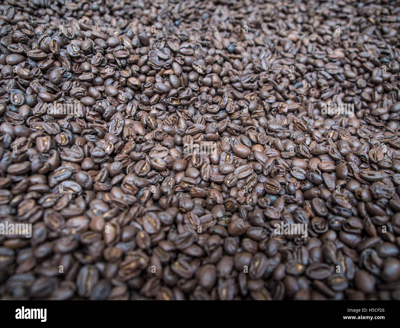 I fagioli neri di caffè torrefatto sono pronti per la vendita Foto Stock