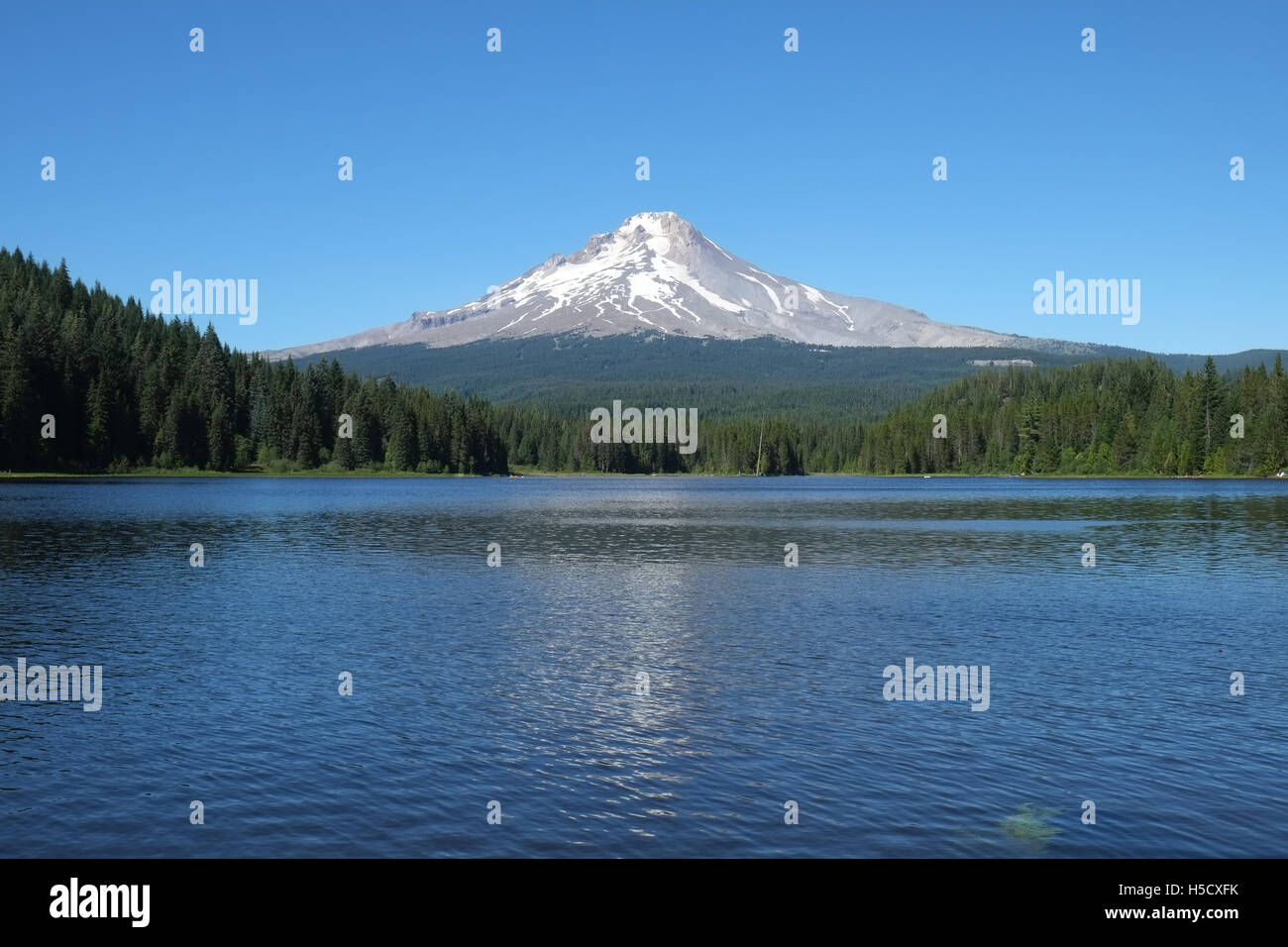 Trillium Lago con il monte Cofano nella distanza, Oregon, Stati Uniti d'America Foto Stock