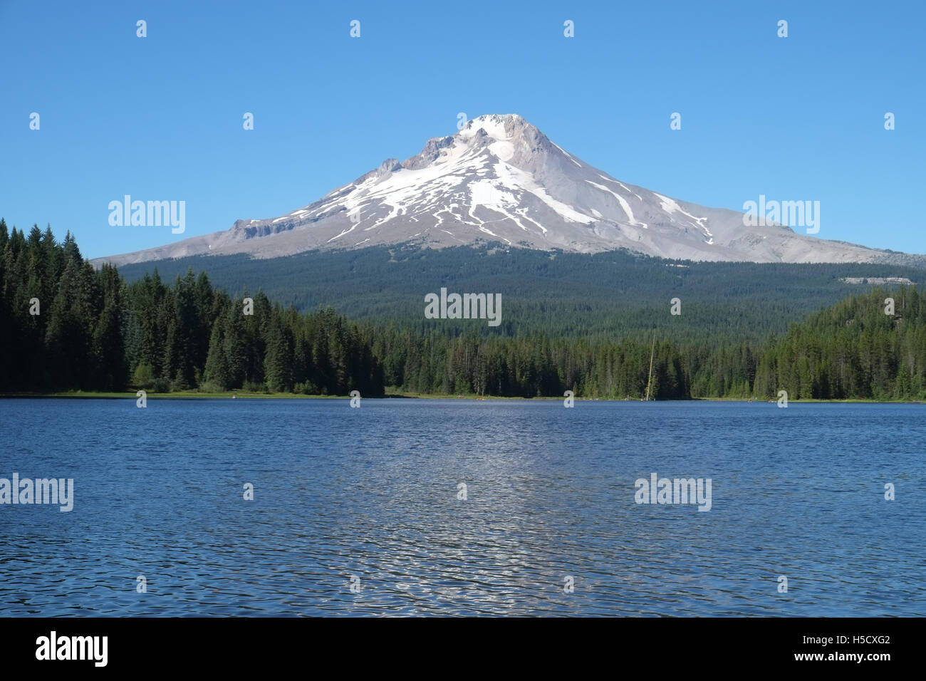 Monte Cofano da Trillium Lago, Oregon, Stati Uniti d'America Foto Stock