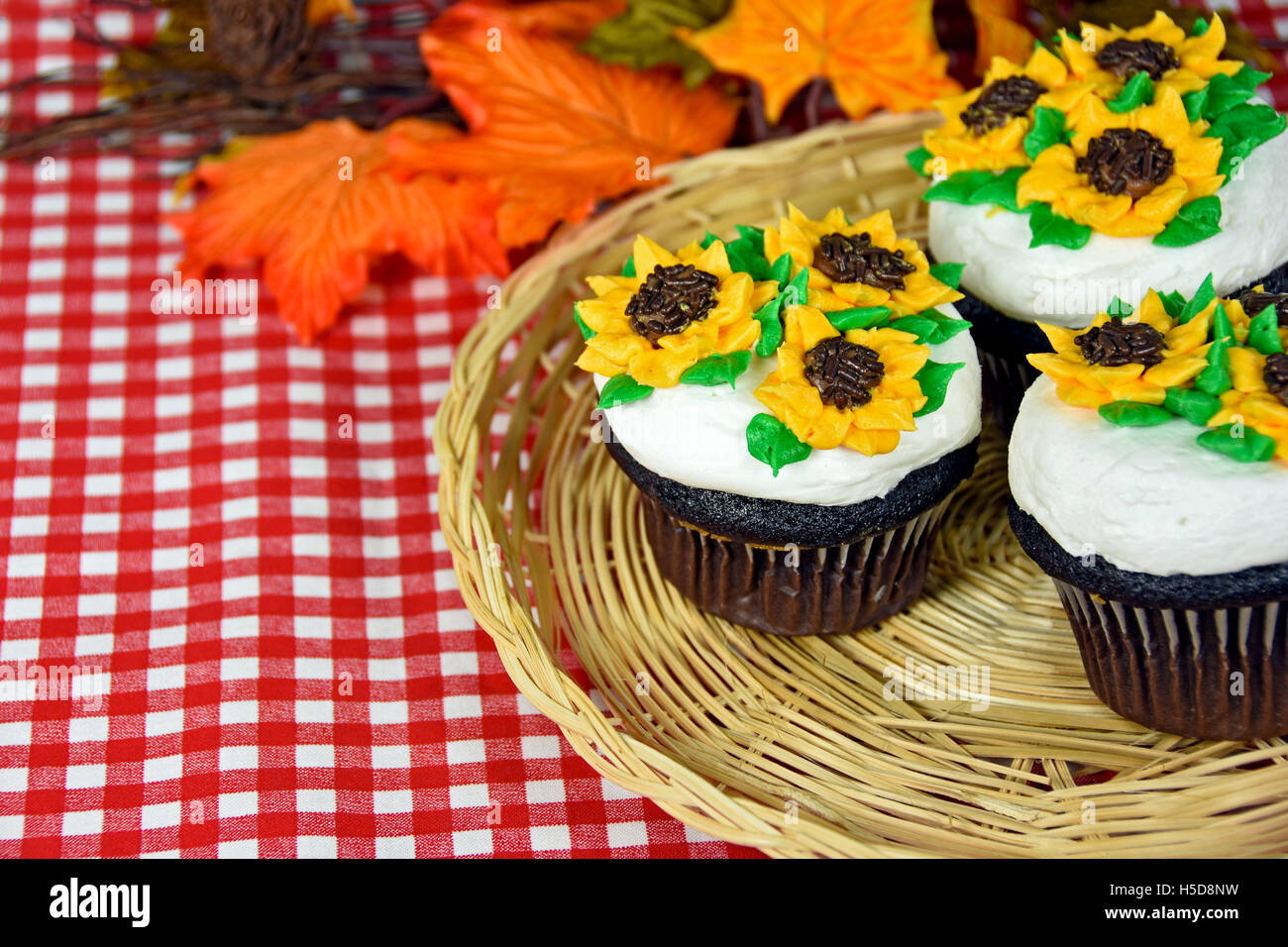 Girasoli sui tortini di cioccolato con foglie di autunno Foto Stock