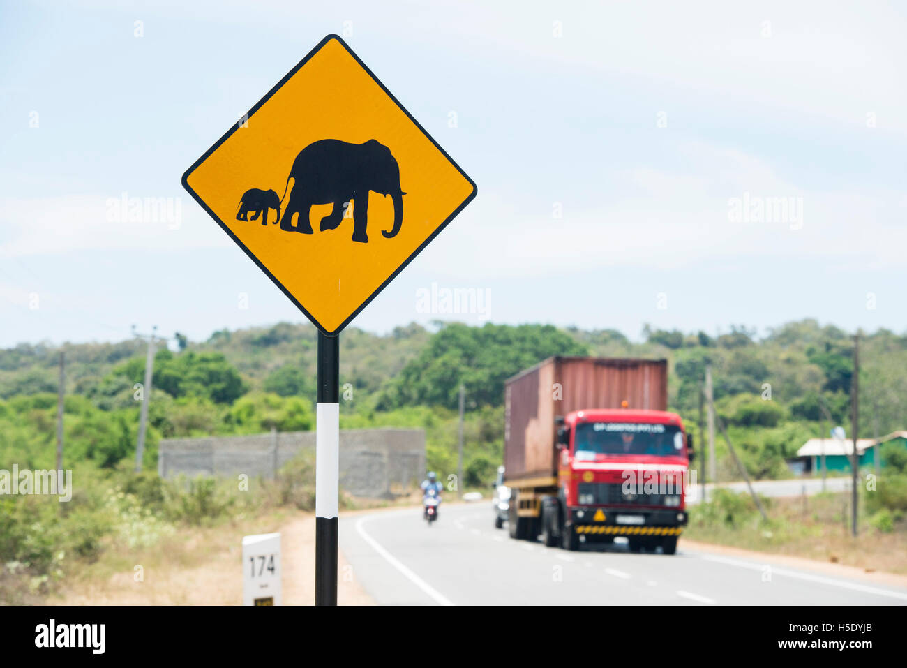 Cartello di avvertimento della scheda per gli elefanti, Sri Lanka Foto Stock