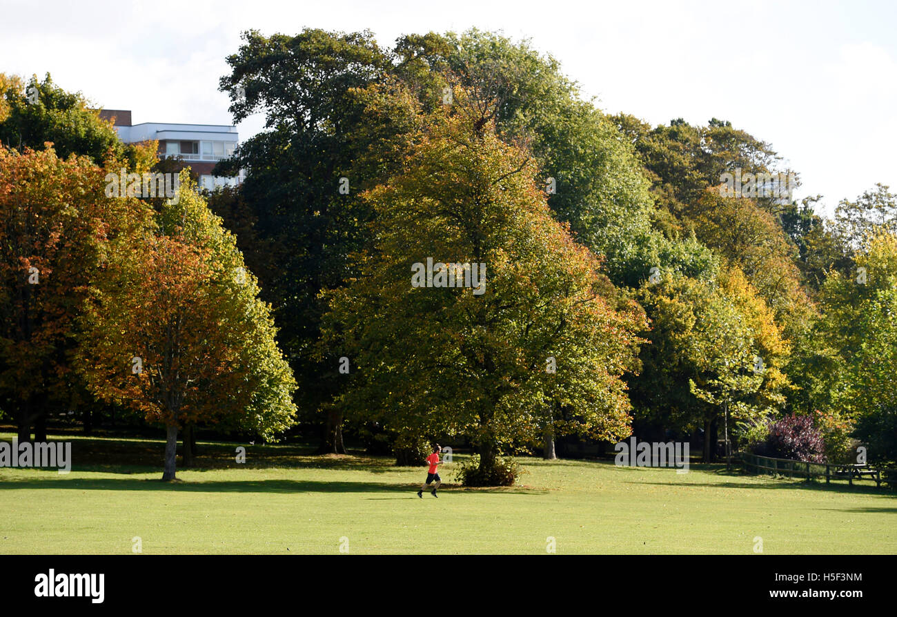 Brighton Sussex, Regno Unito. Xx oct, 2016. Un runner gode di una splendida autunno Meteo Sole in Preston Park Brighton oggi Credito: Simon Dack/Alamy Live News Foto Stock