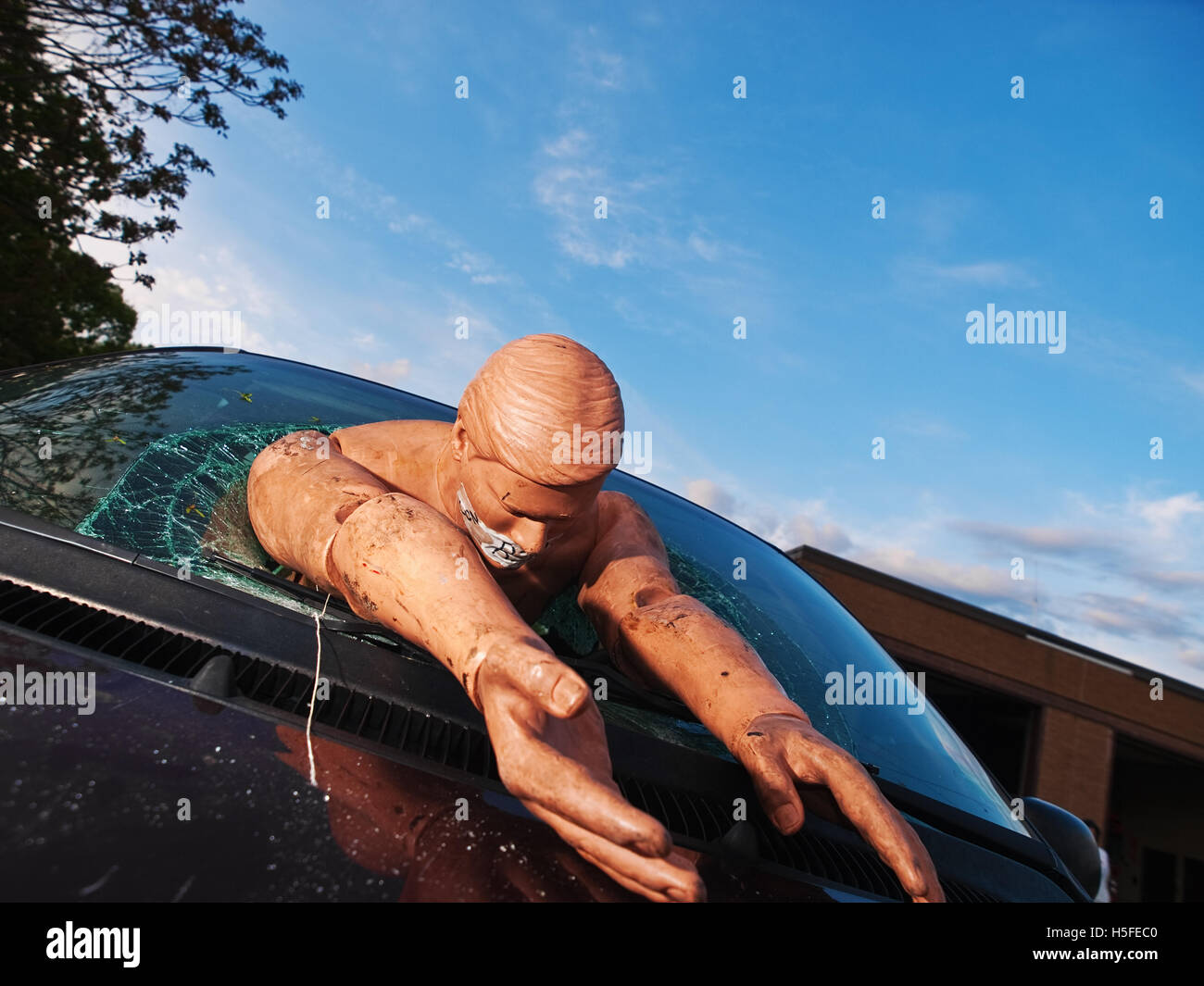 Crash Dummy attraverso il parabrezza Foto Stock