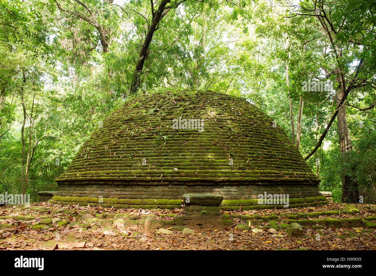Antico monastero buddista rovine nel Jathika Namal Uyana riserva forestale, Sri Lanka Foto Stock