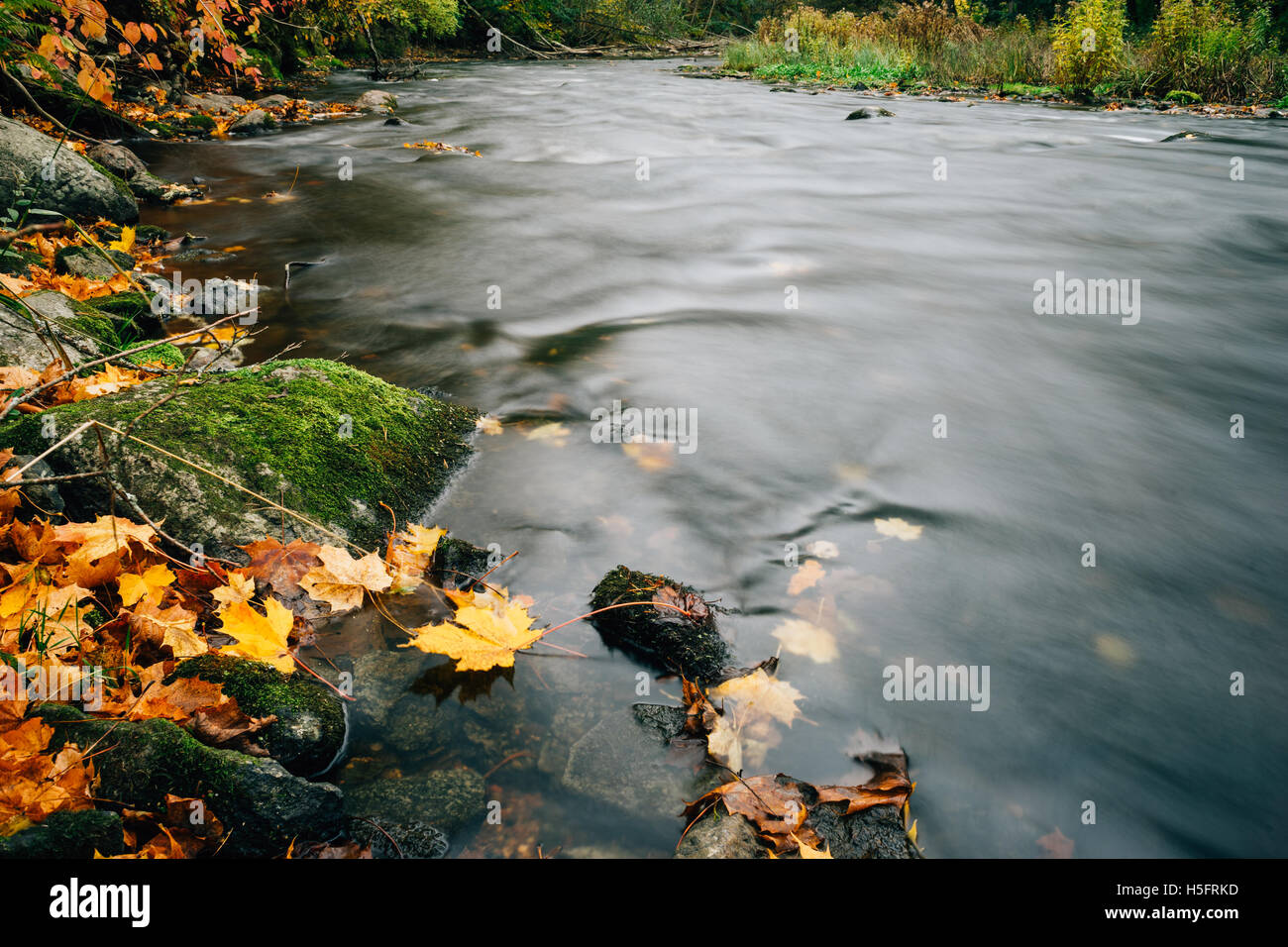 La caduta di foglie di autunno sulla riva del fiume, una lunga esposizione immagine Foto Stock