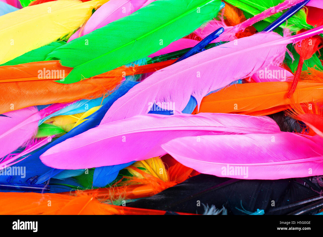 Hobby creativi strumenti di colore reale uccello piume per abiti  decorazioni o qualsiasi altro utilizzo. La texture di sfondo arcobaleno di  colori Foto stock - Alamy