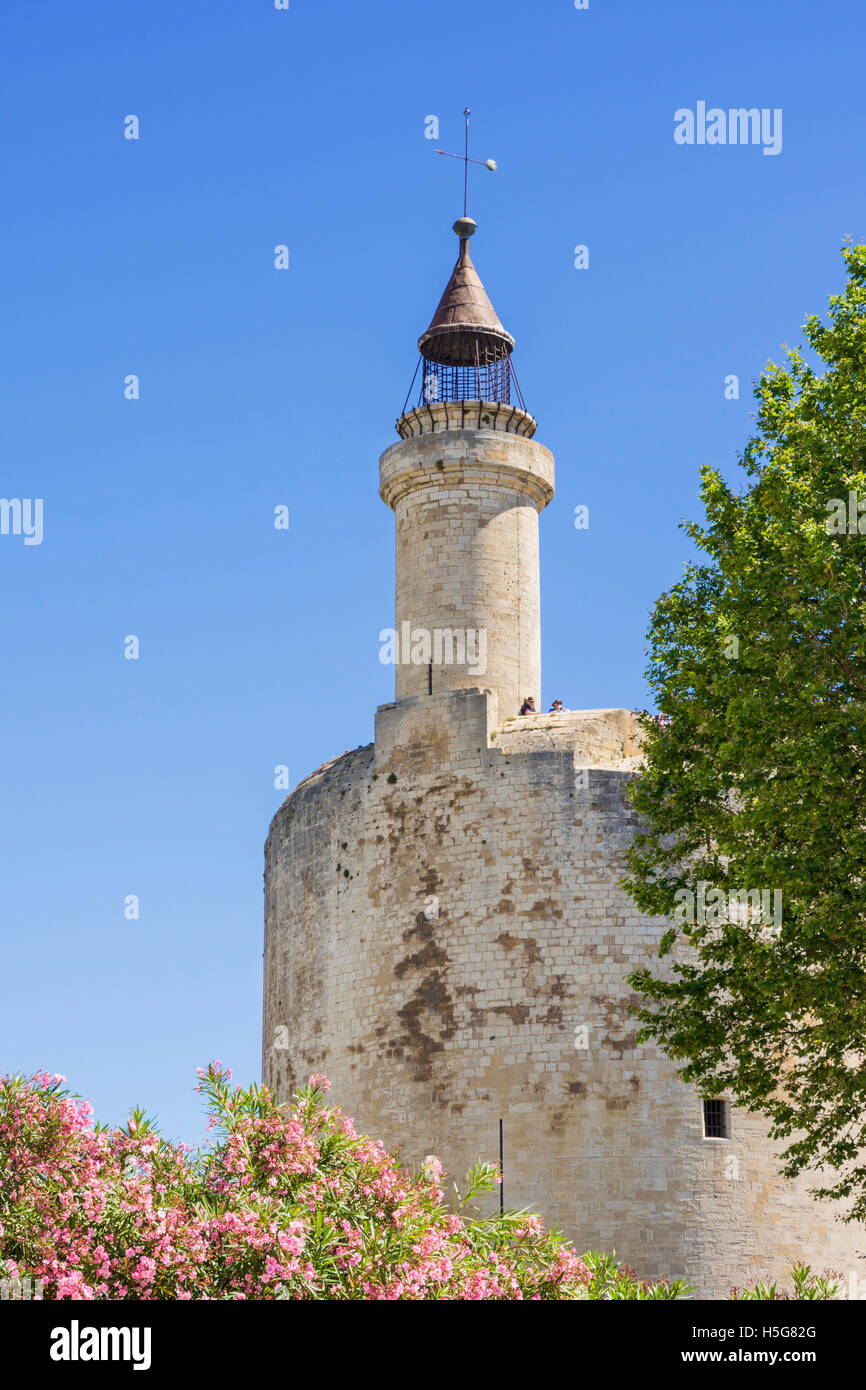 La torre medievale, Tour de Costanza, Aigues-Mortes, Francia Foto Stock