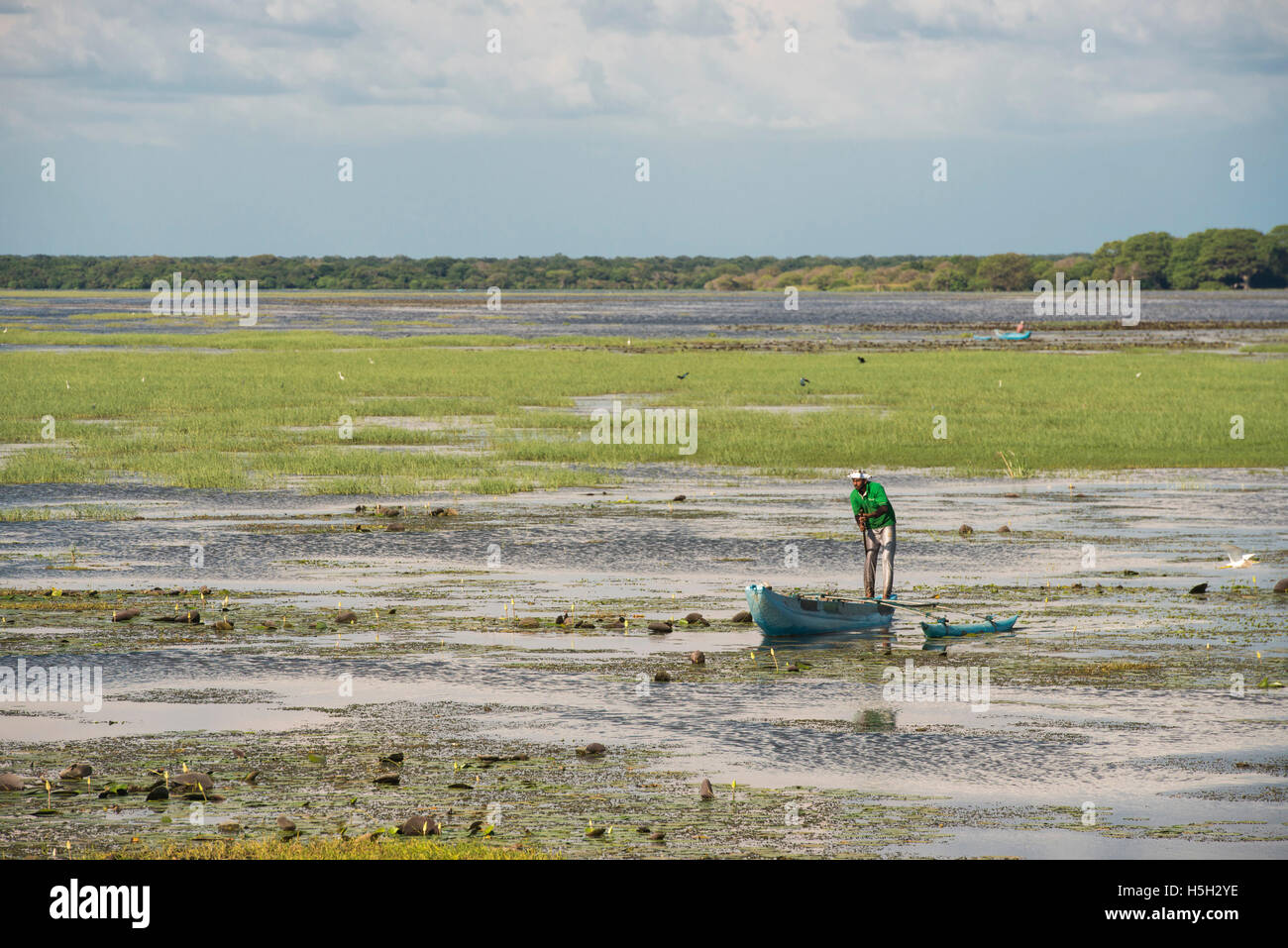 Pescatore sul Giant's serbatoio, serbatoio di irrigazione vicino a Mannar, Sri Lanka Foto Stock