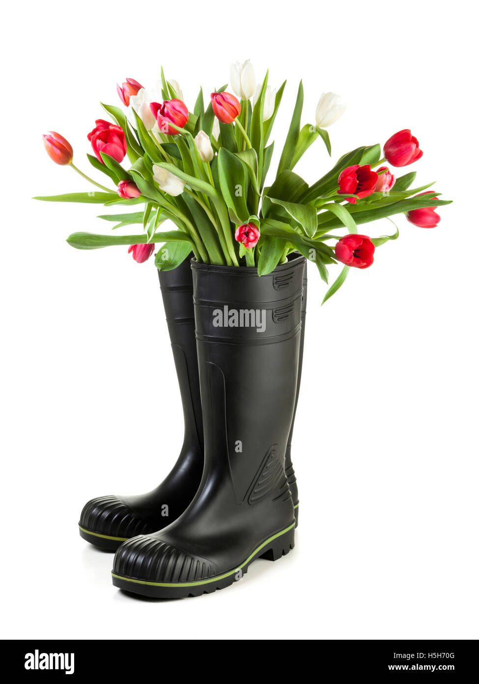 Tulipano sotto la pioggia Immagini senza sfondo e Foto Stock ritagliate -  Alamy
