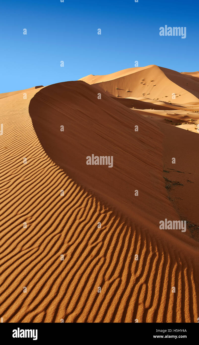 Parabolico Sahara dune di sabbia di Erg Chebbi, Merzouga Marocco, Africa Foto Stock