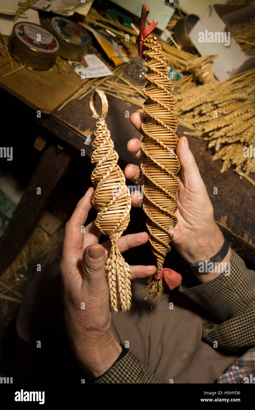 Regno Unito, Inghilterra, Cheshire, a Siddington, Harvest Festival, Raymond Rush le mani tenendo in treccia di carrelli di mais Foto Stock