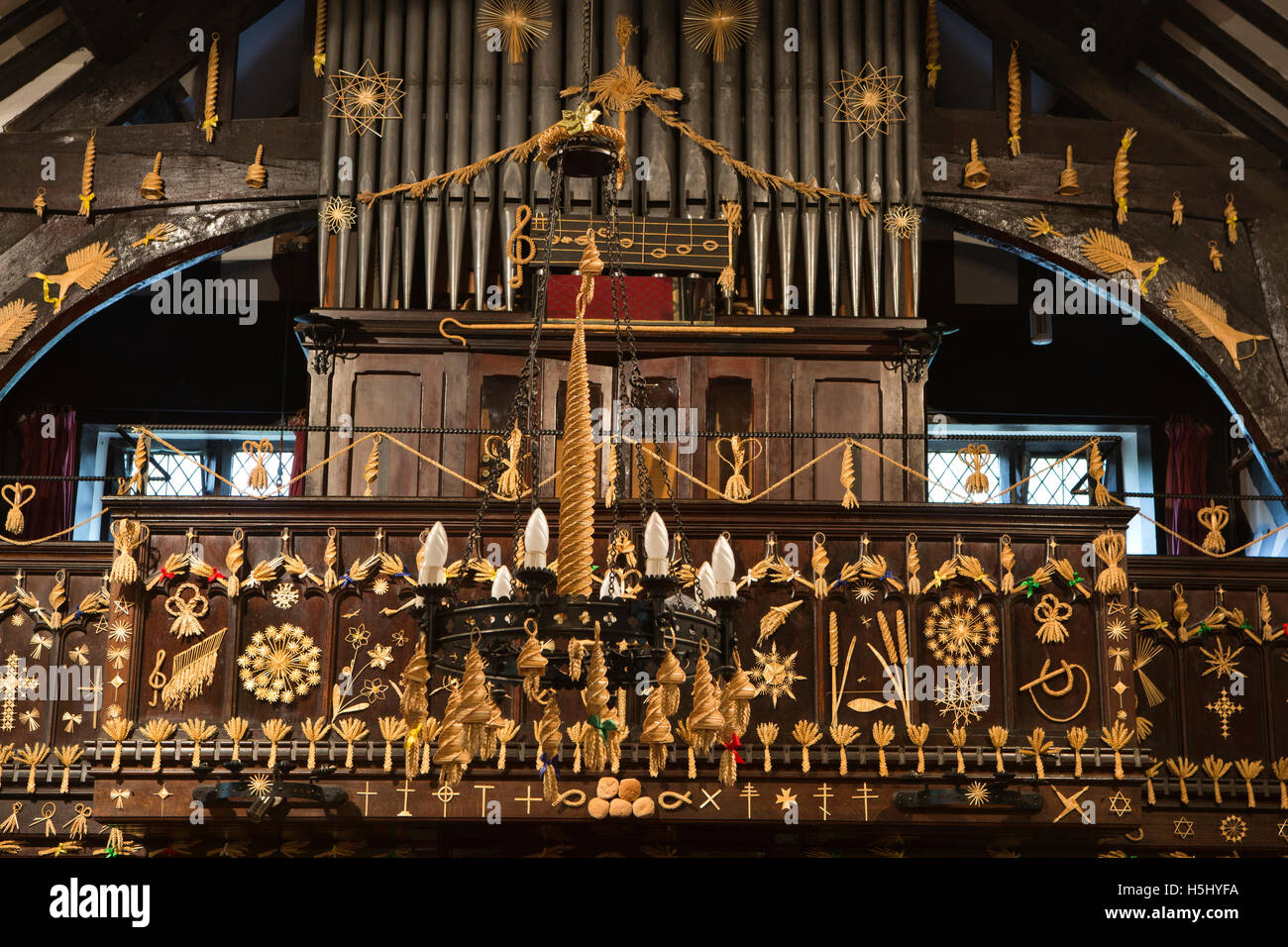 Regno Unito, Inghilterra, Cheshire, a Siddington, Chiesa di Tutti i Santi, Harvest Festival, pergamo decorato con carrelli di mais Foto Stock