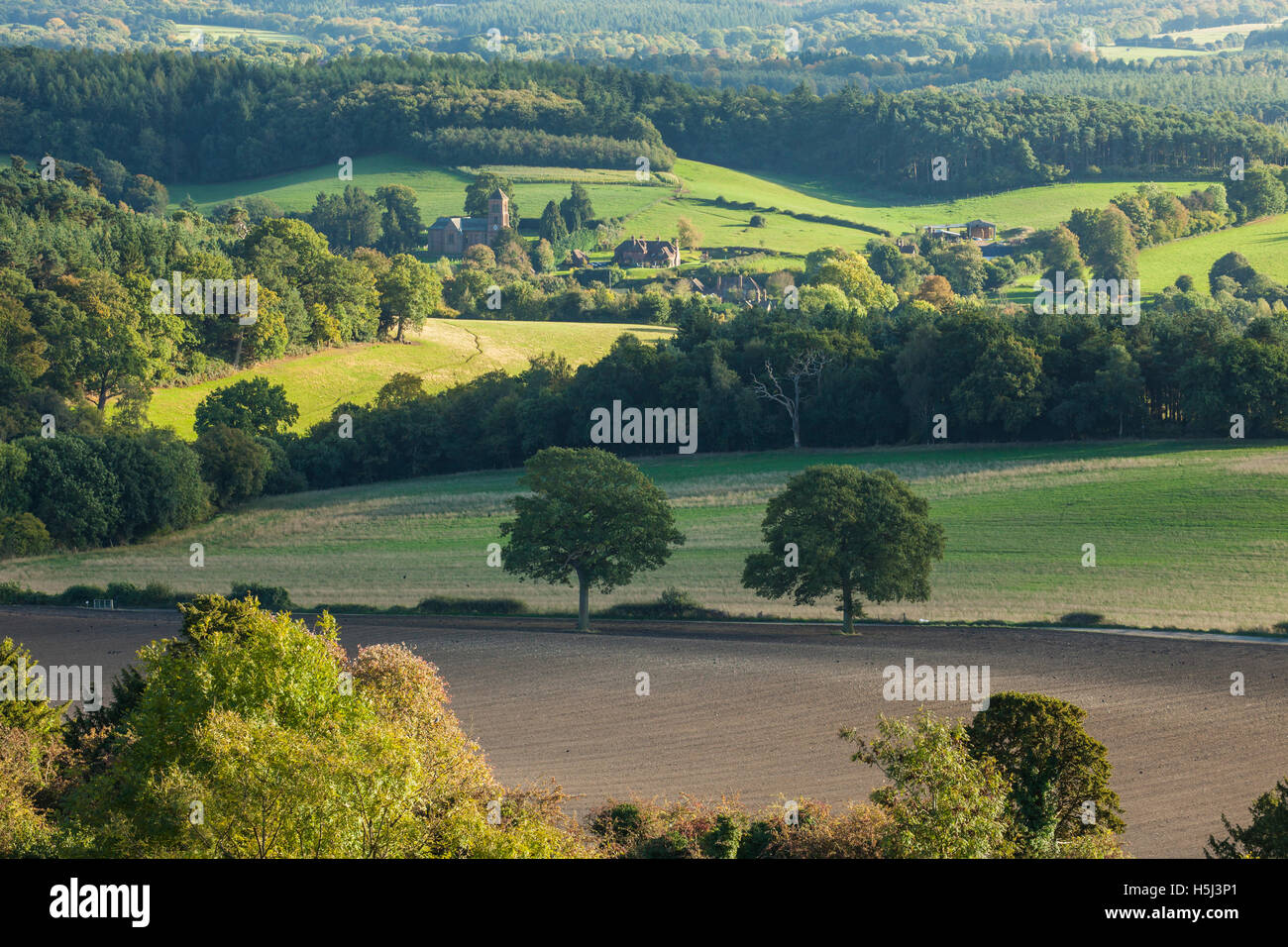 Pomeriggio autunnale a Newlands Corner, Surrey, Inghilterra. North Downs. Foto Stock