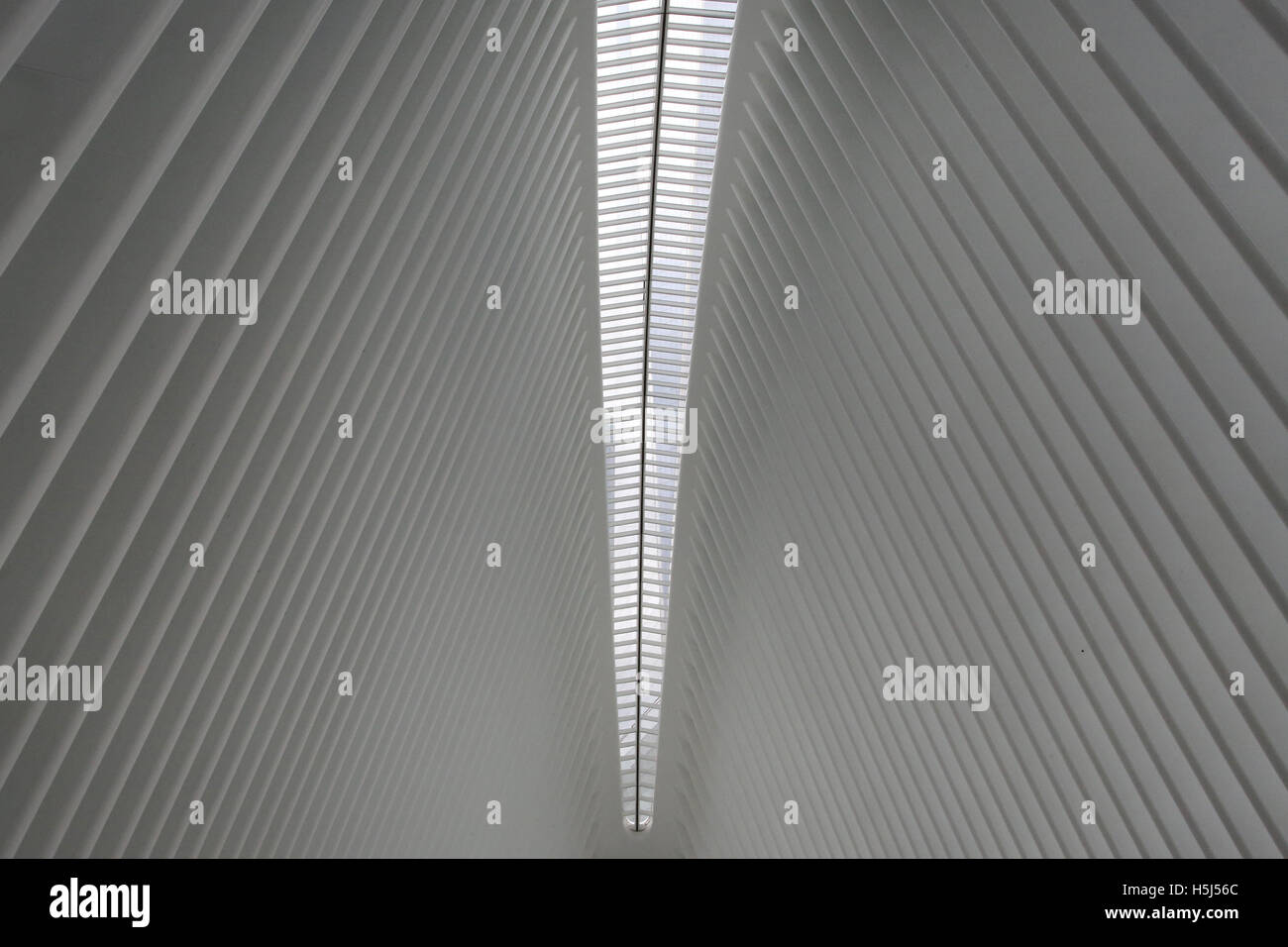 Occhio, il trasporto hub dall'architetto Santiago Calatrava, al WTC 9/11 Memorial Plaza, Manhattan New York City Foto Stock